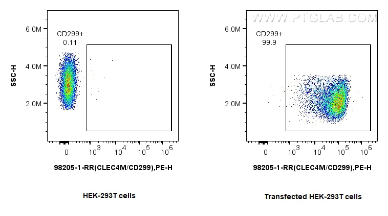 Flow cytometry (FC) experiment of Transfected HEK-293T cells using Anti-Human DC-SIGNR/CD299 Rabbit Recombinant Antib (98205-1-RR)