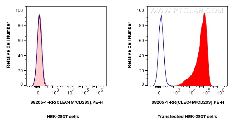 Flow cytometry (FC) experiment of Transfected HEK-293T cells using Anti-Human DC-SIGNR/CD299 Rabbit Recombinant Antib (98205-1-RR)