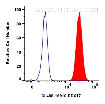 Flow cytometry (FC) experiment of HEK-293 cells using CoraLite® Plus 488-conjugated DDX17 Polyclonal ant (CL488-19910)