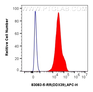 Flow cytometry (FC) experiment of Jurkat cells using DDX39A Recombinant antibody (83083-5-RR)