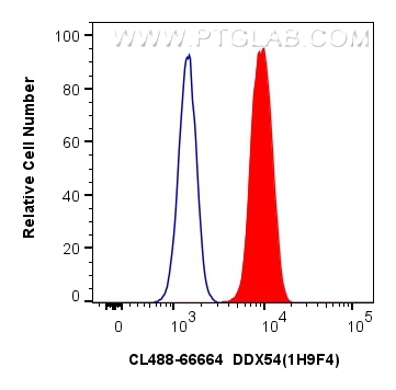 Flow cytometry (FC) experiment of HepG2 cells using CoraLite® Plus 488-conjugated DDX54 Monoclonal ant (CL488-66664)