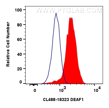 Flow cytometry (FC) experiment of Jurkat cells using CoraLite® Plus 488-conjugated DEAF1 Polyclonal ant (CL488-18323)