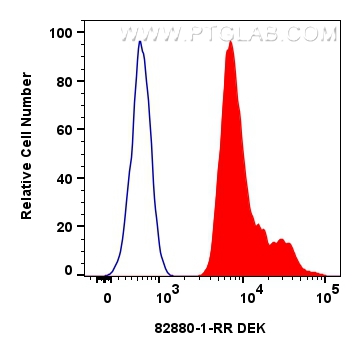 Flow cytometry (FC) experiment of HeLa cells using DEK Recombinant antibody (82880-1-RR)