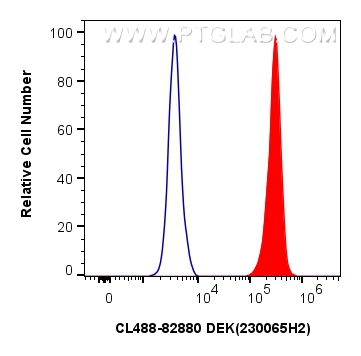 Flow cytometry (FC) experiment of HeLa cells using CoraLite® Plus 488-conjugated DEK Recombinant anti (CL488-82880)