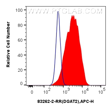 Flow cytometry (FC) experiment of HeLa cells using DGAT2 Recombinant antibody (83262-2-RR)