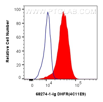 Flow cytometry (FC) experiment of MCF-7 cells using DHFR Monoclonal antibody (68274-1-Ig)