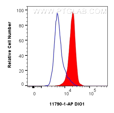 Flow cytometry (FC) experiment of HeLa cells using DIO1 Polyclonal antibody (11790-1-AP)