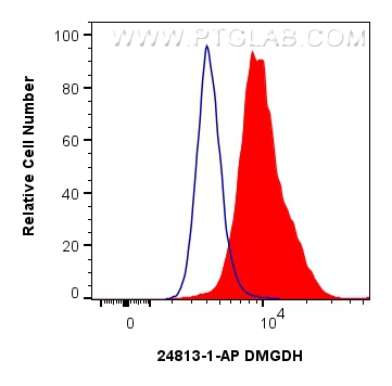 Flow cytometry (FC) experiment of HepG2 cells using DMGDH Polyclonal antibody (24813-1-AP)