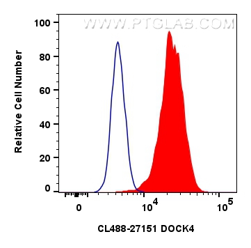 Flow cytometry (FC) experiment of HeLa cells using CoraLite® Plus 488-conjugated DOCK4 Polyclonal ant (CL488-27151)