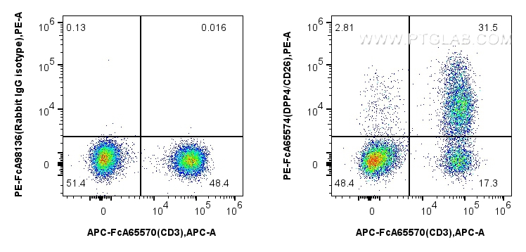 Flow cytometry (FC) experiment of human PBMCs using FcZero-rAb™ PE Anti-Human DPP4/CD26 (BA5b) Rabbit  (PE-FcA65574)