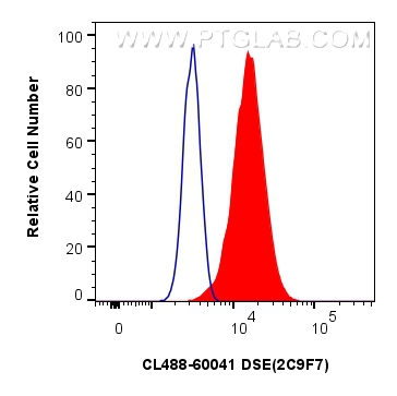 Flow cytometry (FC) experiment of HeLa cells using CoraLite® Plus 488-conjugated DSE Monoclonal antib (CL488-60041)