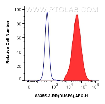 Flow cytometry (FC) experiment of PC-12 cells using DUSP6 Recombinant antibody (83355-3-RR)