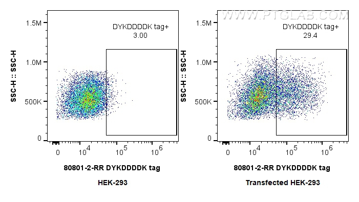 Flow cytometry (FC) experiment of HEK-293T  transfected with TDP-43-flag using DYKDDDDK tag Recombinant antibody (Binds to FLAG®  (80801-2-RR)