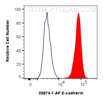 Flow cytometry (FC) experiment of MCF-7 cells using E-cadherin Polyclonal antibody (20874-1-AP)