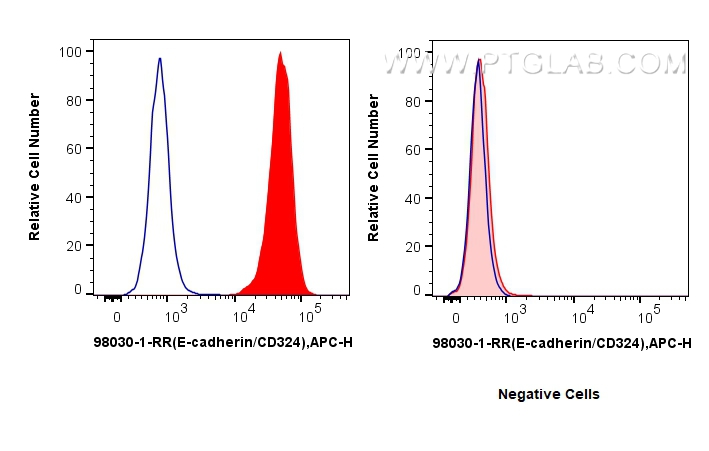 Flow cytometry (FC) experiment of MCF-7 cells using Anti-Human CD324 (E-cadherin) Rabbit Recombinant A (98030-1-RR)