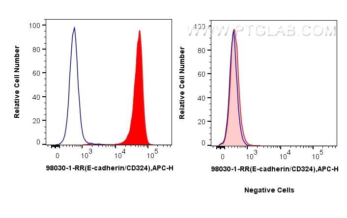 Flow cytometry (FC) experiment of HT-29 cells using Anti-Human CD324 (E-cadherin) Rabbit Recombinant A (98030-1-RR)