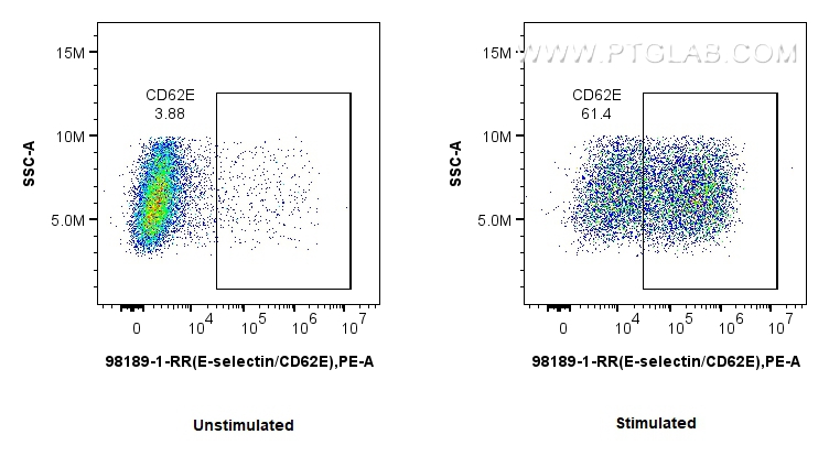 Flow cytometry (FC) experiment of HUVEC cells using Anti-Human E-selectin/CD62E Rabbit Recombinant Ant (98189-1-RR)