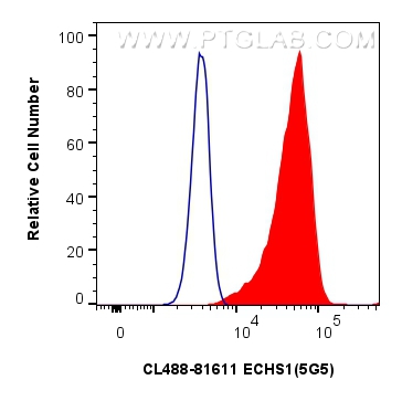 Flow cytometry (FC) experiment of HeLa cells using CoraLite® Plus 488-conjugated ECHS1 Recombinant an (CL488-81611)