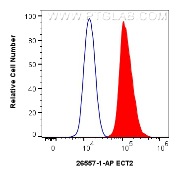 Flow cytometry (FC) experiment of A549 cells using ECT2 Polyclonal antibody (26557-1-AP)