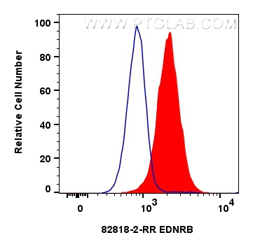 Flow cytometry (FC) experiment of Raji cells using EDNRB Recombinant antibody (82818-2-RR)