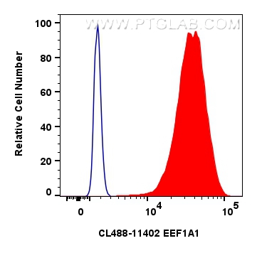 Flow cytometry (FC) experiment of HeLa cells using CoraLite® Plus 488-conjugated EEF1A1 Polyclonal an (CL488-11402)