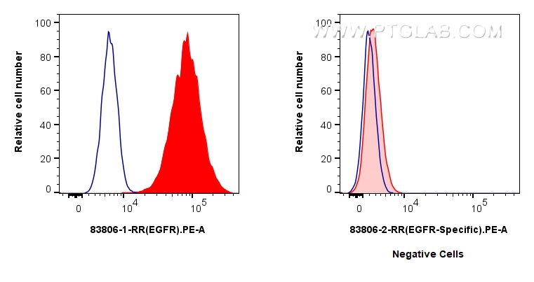 Flow cytometry (FC) experiment of A431 cells using EGFR Recombinant antibody (83806-1-RR)