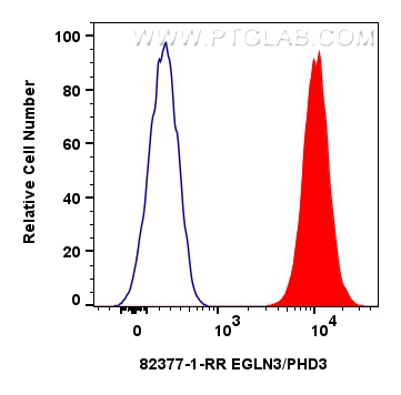 Flow cytometry (FC) experiment of U2OS cells using EGLN3/PHD3 Recombinant antibody (82377-1-RR)