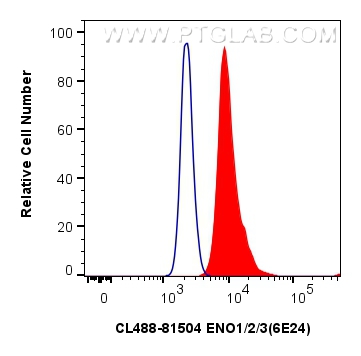 Flow cytometry (FC) experiment of HepG2 cells using CoraLite® Plus 488-conjugated ENO1/2/3 Recombinant (CL488-81504)