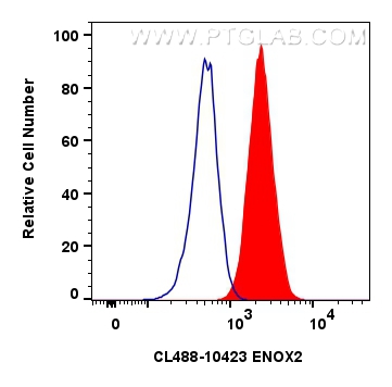 Flow cytometry (FC) experiment of MCF-7 cells using CoraLite® Plus 488-conjugated ENOX2 Polyclonal ant (CL488-10423)