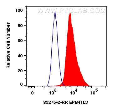 Flow cytometry (FC) experiment of U2OS cells using EPB41L3 Recombinant antibody (83275-2-RR)