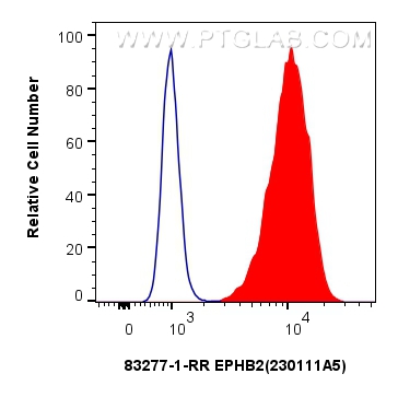 Flow cytometry (FC) experiment of HepG2 cells using EPHB2 Recombinant antibody (83277-1-RR)