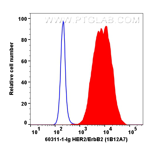 Flow cytometry (FC) experiment of SK-BR-3 cells using HER2/ErbB2 Monoclonal antibody (60311-1-Ig)