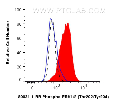 Flow cytometry (FC) experiment of HepG2 cells using Phospho-ERK1/2 (Thr202/Tyr204) Recombinant antibod (80031-1-RR)