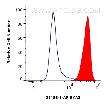 Flow cytometry (FC) experiment of A431 cells using EYA3 Polyclonal antibody (21196-1-AP)