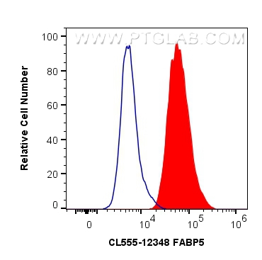 Flow cytometry (FC) experiment of HeLa cells using CoraLite®555-conjugated FABP5 Polyclonal antibody (CL555-12348)