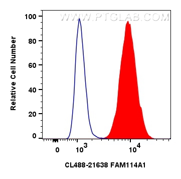 Flow cytometry (FC) experiment of HepG2 cells using CoraLite® Plus 488-conjugated FAM114A1 Polyclonal  (CL488-21638)