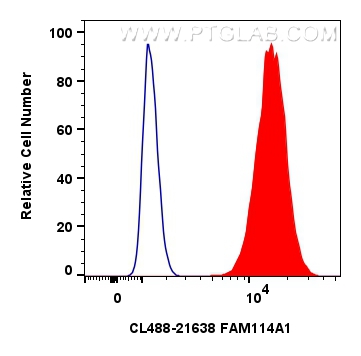 FAM114A1