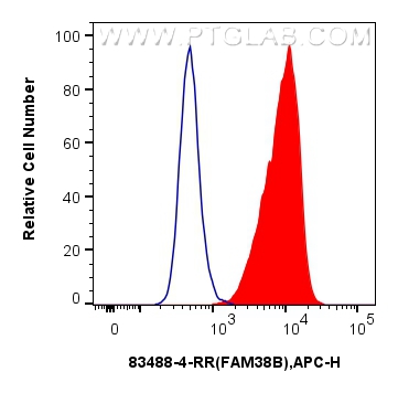 Flow cytometry (FC) experiment of A431 cells using FAM38B Recombinant antibody (83488-4-RR)