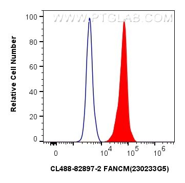 Flow cytometry (FC) experiment of HeLa cells using CoraLite® Plus 488-conjugated FANCM Recombinant an (CL488-82897-2)