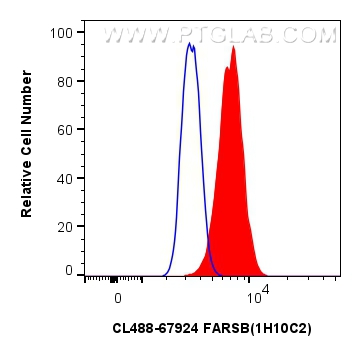 Flow cytometry (FC) experiment of U-251 cells using CoraLite® Plus 488-conjugated FARSB Monoclonal ant (CL488-67924)