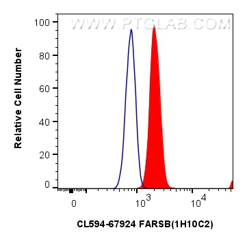 Flow cytometry (FC) experiment of U-251 cells using CoraLite®594-conjugated FARSB Monoclonal antibody (CL594-67924)