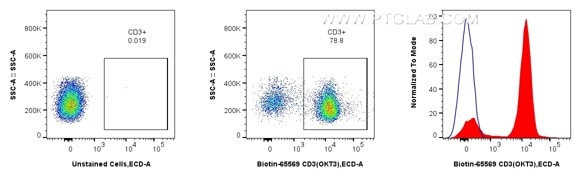 Flow cytometric analysis of human PBMCs using Biotin anti-human CD3 and CoraLite®594-conjugated Streptavidin. Human PBMCs were stained with Biotin CD3 Recombinant Antibody (Cat.No. Biotin-65569, Clone: OKT3), washed with PBS, and stained with CoraLite®594-conjugated Streptavidin (Cat.No.CL594-PF00030) and analyzed by flow cytometry. Flow cytometric analysis of human PBMCs using Biotin anti-human CD3 and CoraLite®594-conjugated Streptavidin. Human PBMCs were stained with Biotin CD3 Recombinant Antibody (Cat.No. Biotin-65569, Clone: OKT3), washed with PBS, and stained with CoraLite®594-conjugated Streptavidin (Cat.No.CL594-PF00030) and analyzed by flow cytometry.