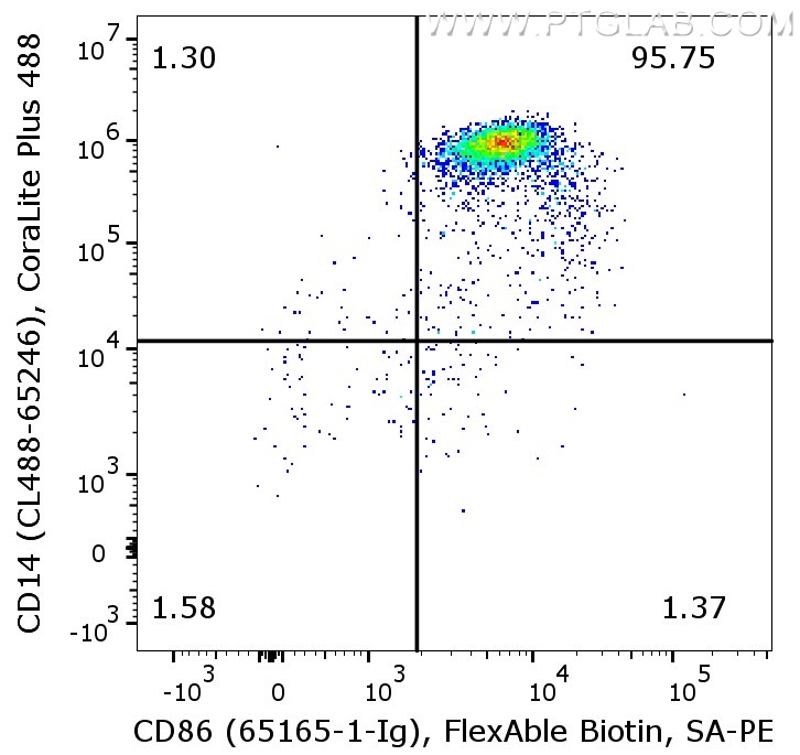 Flow cytometry of PBMC. 1X10^6 human PBMC were stained with anti-human CD86 antibody (65156-1-Ig) labeled with FlexAble Biotin Antibody Labeling Kit for Mouse IgG1 (KFA027) and Streptavidin-PE.  The cells were co-stained with either mouse IgG2b isotype control or anti-human CD14 antibody (CL488-65246).  Cells are not fixed, Monocytes are gated.