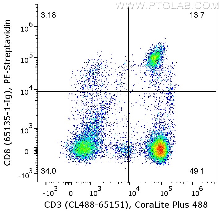 Flow cytometry of PBMC. 1X10^6 human PBMC were stained with either mouse IgG2a isotype control or anti-human CD8 antibody (65135-1-Ig), which are labeled with FlexAble Biotin Antibody Labeling Kit for Mouse IgG2a (KFA047) and Streptavidin-PE. Cells were co-stained with anti-human CD3 antibody (CL488-65151). Cells are not fixed, lymphocytes are gated.