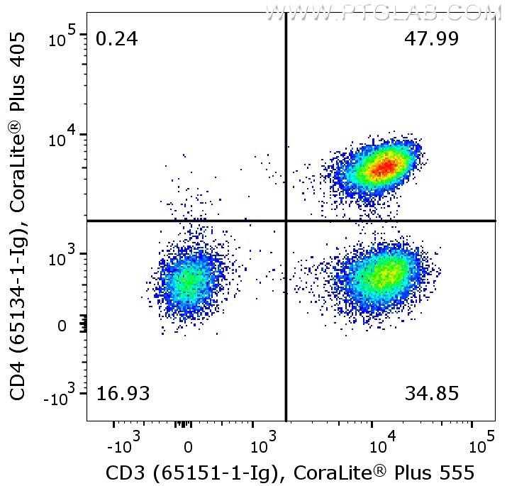 Flow cytometry of PBMC. 1X10^6 human peripheral blood mononuclear cells (PBMCs) were stained with anti-human CD3 (clone UCHT1, 65151-1-Ig) labeled with FlexAble CoraLite Plus 555 Kit (KFA022) and anti-human CD4 (clone OKT4, 65134-1-Ig) labeled with FlexAble CoraLite® Plus 405 Kit (KFA066).  Cells are not fixed, lymphocytes are gated. 