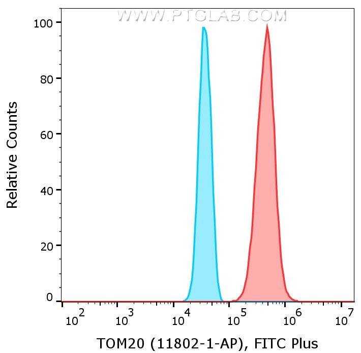 1X10^6 HeLa cells were intracellularly stained with anti-TOM20 rabbit polyclonal antibody (11802-1-AP, red) or with isotype control antibody (30000-0-AP, blue) labeled with FlexAble 2.0 FITC Plus Kit (KFA508). Cells were fixed and permeabilized with Foxp3 /Transcription Factor Staining Buffer Kit (PF00011).