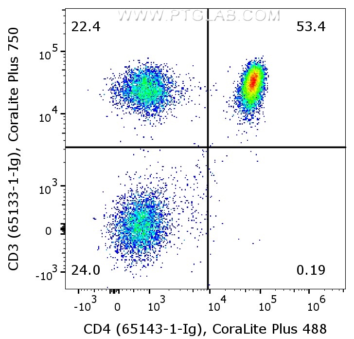 1X10^6 human PBMCs were surface co-stained with Anti-Human CD3 (65133-1-Ig, Clone:OKT3) labeled with FlexAble 2.0 CoraLite® Plus 750 Kit (KFA544), and Anti-Human CD4 (65143-1-Ig, Clone:RPA-T4) labeled with FlexAble 2.0 CoraLite® Plus 488 Kit (KFA521). Cells were not fixed. Lymphocytes were gated.