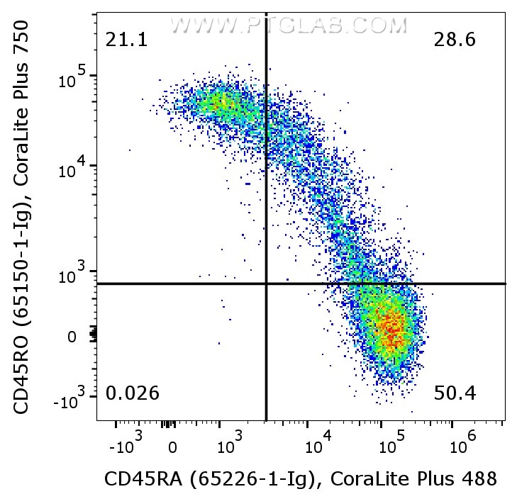 1X10^6 human PBMCs were surface co-stained with Anti-Human CD45RO (65150-1-Ig, Clone:UCHL1) labeled with FlexAble 2.0 CoraLite® Plus 750 Kit (KFA544), and Anti-Human CD45RA (65226-1-Ig, Clone:F8-11-13) labeled with FlexAble 2.0 CoraLite® Plus 488 Kit (KFA521). Cells were not fixed. Lymphocytes were gated.