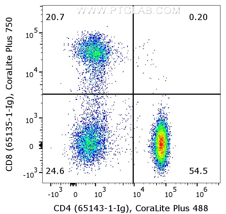 1X10^6 human PBMCs were surface co-stained with CoraLite® Plus 405 Anti-Human CD3 (CL405-65151, Clone: UCHT1), Anti-Human CD8 (65135-1-Ig, Clone:OKT8) labeled with FlexAble 2.0 CoraLite® Plus 750 Kit (KFA544), and Anti-Human CD4 (65143-1-Ig, Clone:RPA-T4) labeled with FlexAble 2.0  CoraLite® Plus 488 Kit (KFA521). Cells were not fixed. CD3+ lymphocytes were gated.