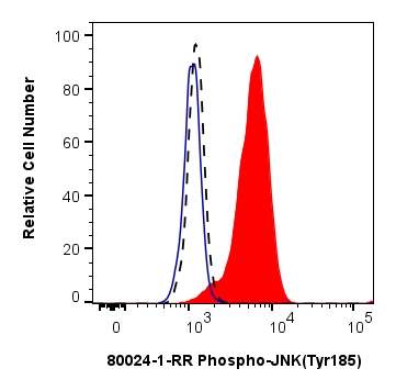 1X10^6 HEK-293 cells untreated (dashed lines) or treated with Calyculin A then intracellularly stained with 0.06 ug Phospho-JNK (Tyr185) Recombinant antibody (80024-1-RR, Clone: 2G8) and CoraLite®488-Conjugated Goat Anti-Rabbit IgG(H+L) (SA00013-2) (red), or 0.06 ug Rabbit IgG Isotype Control Recombinant Antibody (98136-1-RR, Clone: 240953C9) (blue). 1X10^6 HEK-293 cells untreated (dashed lines) or treated with Calyculin A then intracellularly stained with 0.06 ug Phospho-JNK (Tyr185) Recombinant antibody (80024-1-RR, Clone: 2G8) and CoraLite®488-Conjugated Goat Anti-Rabbit IgG(H+L) (SA00013-2) (red), or 0.06 ug Rabbit IgG Isotype Control Recombinant Antibody (98136-1-RR, Clone: 240953C9) (blue).
